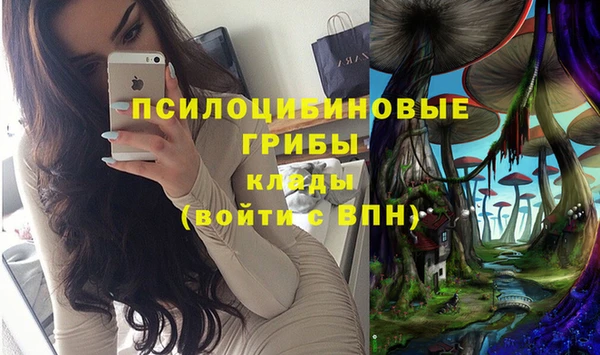 мяу мяу мука Куйбышев