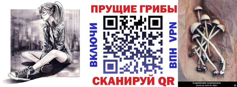 Галлюциногенные грибы GOLDEN TEACHER Липецк