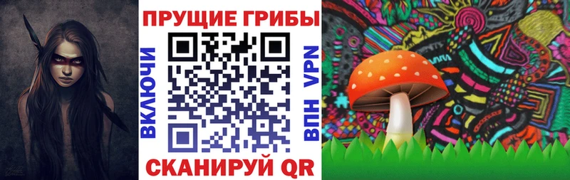 где можно купить наркотик  Липецк  Псилоцибиновые грибы MAGIC MUSHROOMS 